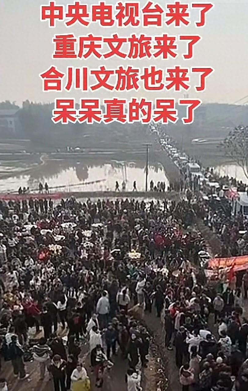 世界杯客户端更新说明-央视车被堵外面，人民日报下场，白衬衫守护，呆呆成为历史第一人